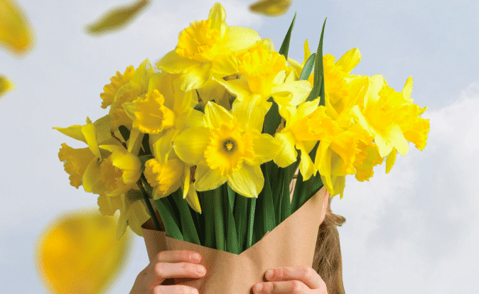 Daffodil Day Appeal
