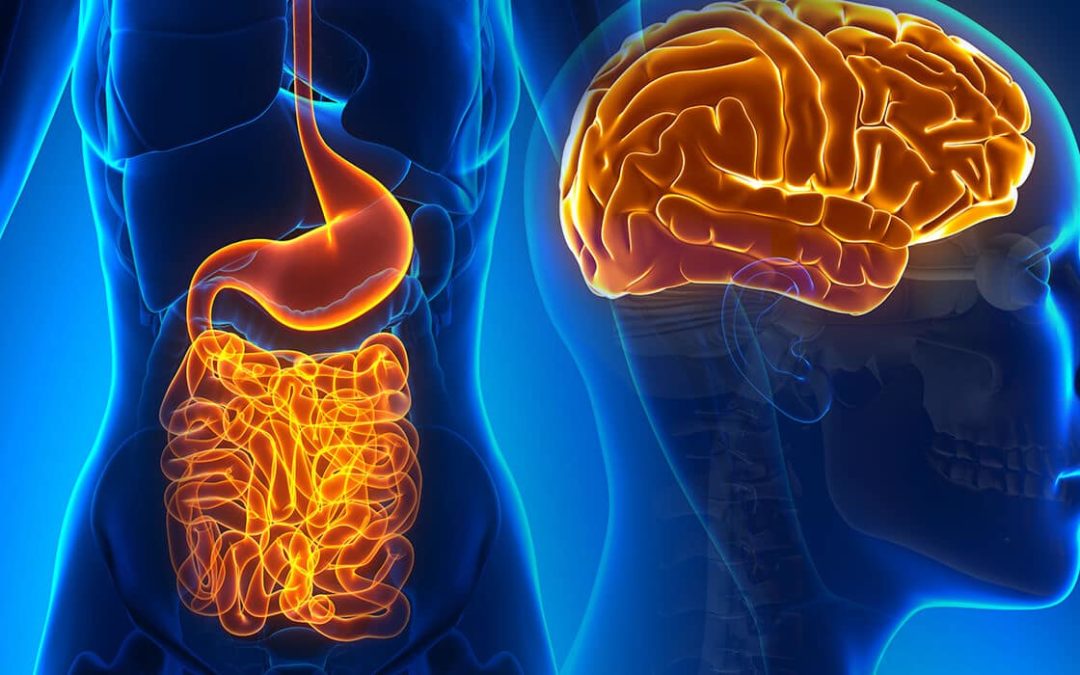 What is the gut-brain axis, exactly?
